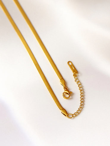 Rubans Voguish 18K Gold-Plated Stainless Steel Tarnish-Free Waterproof Black V Necklace