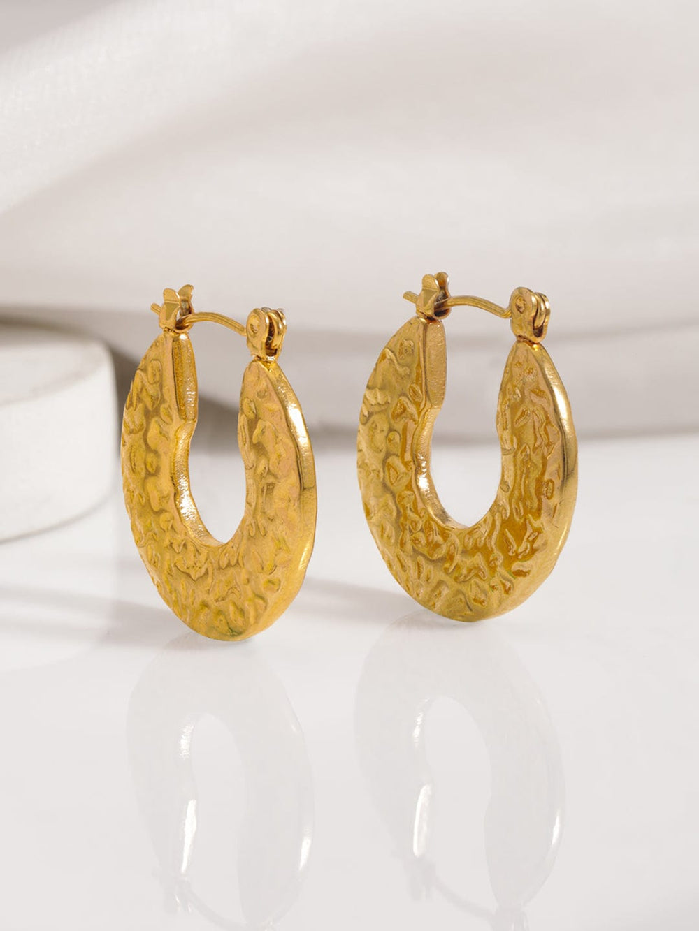 Rubans 18KT Gold Plated Stainless Steel Waterproof Tarnish Free Demi-Fine Hoop Earrings Earrings