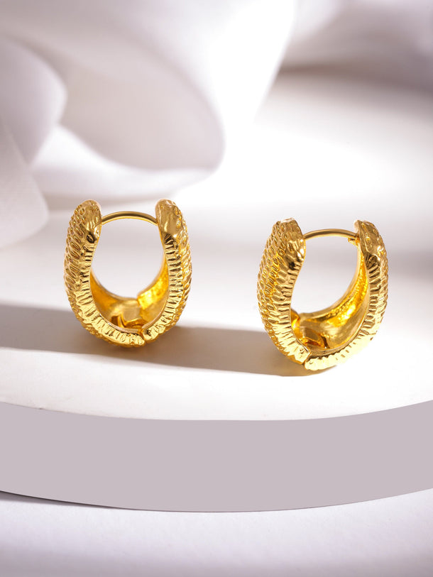 Rubans Voguish Gold-Plated Circular Hoop Earrings Earrings