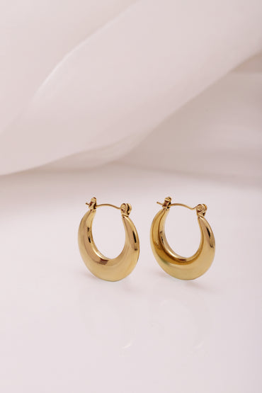 Gold Toned Small Hoop Earrings