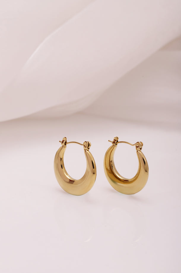 Gold Toned Small Hoop Earrings