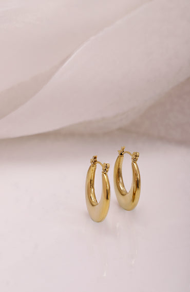 Gold Toned Small Hoop Earrings