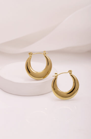 Gold Toned Small Hoop Earrings